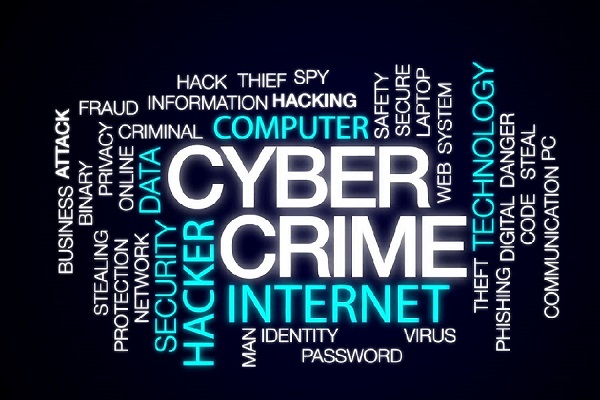 Best Cyber Crime Lawyer in Faridabad
